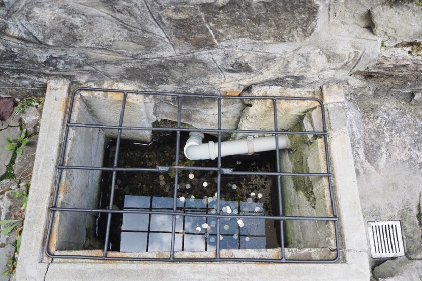 P9070017 - 2018_09_07