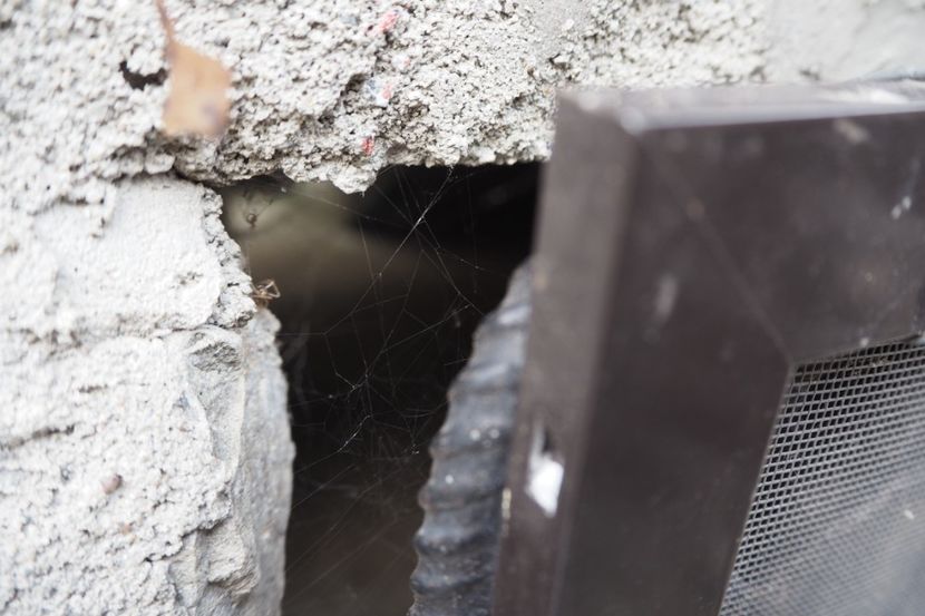 P9070018 - 2018_09_07