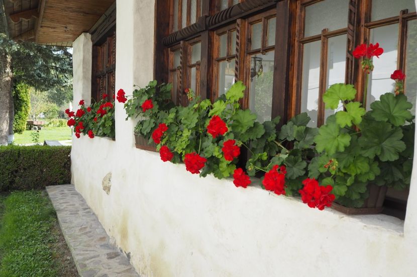 P9070020 - 2018_09_07