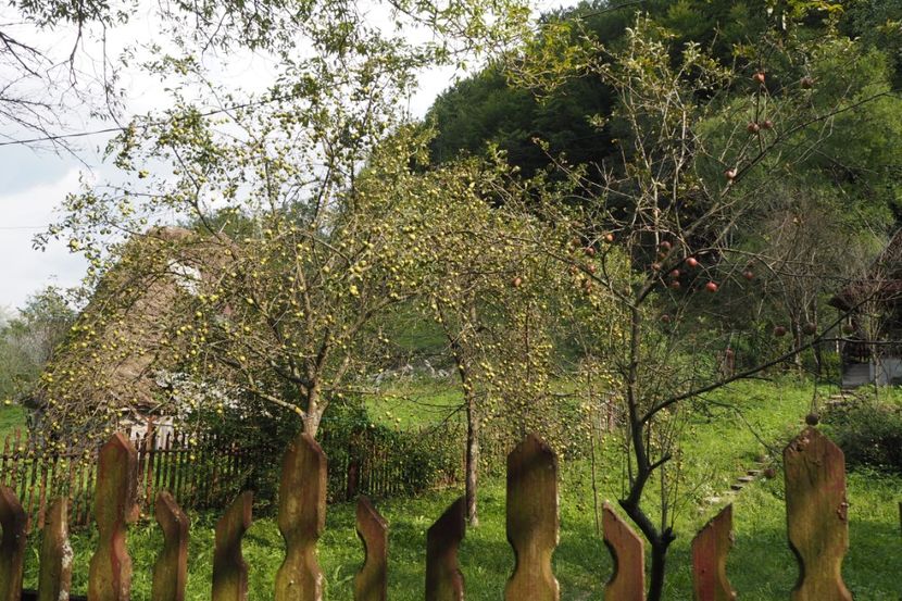 P9070040 - 2018_09_07