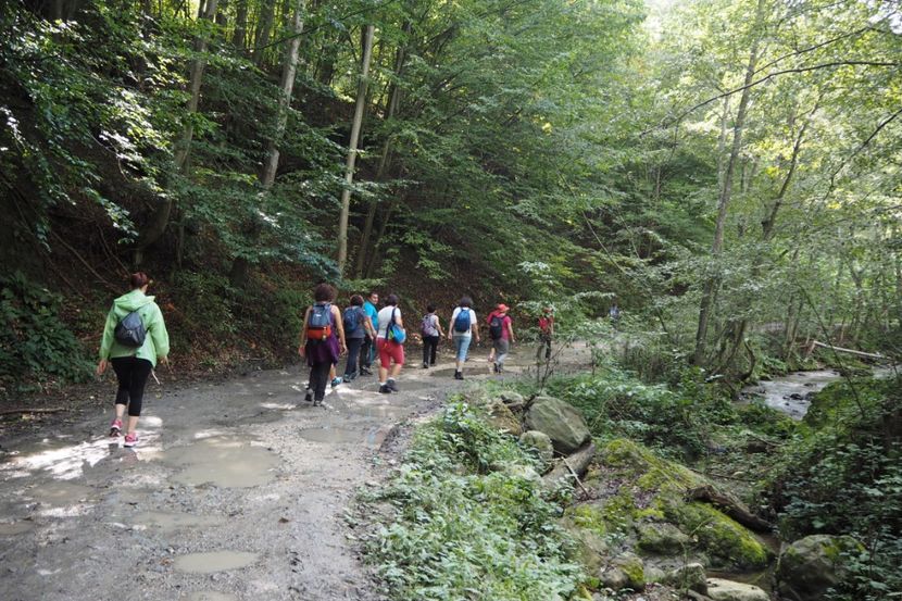 P9070042 - 2018_09_07