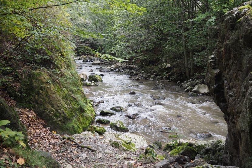 P9070046 - 2018_09_07