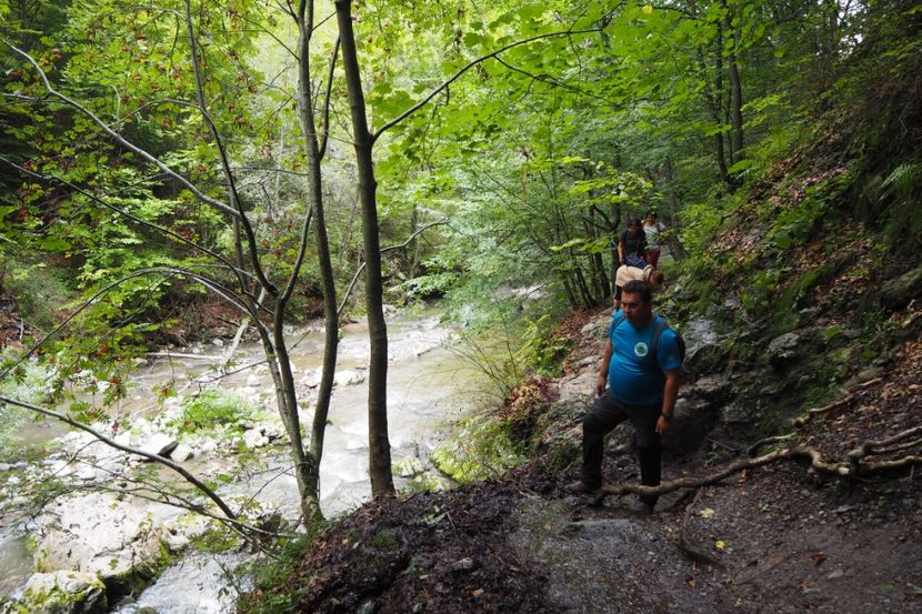 P9070048 - 2018_09_07