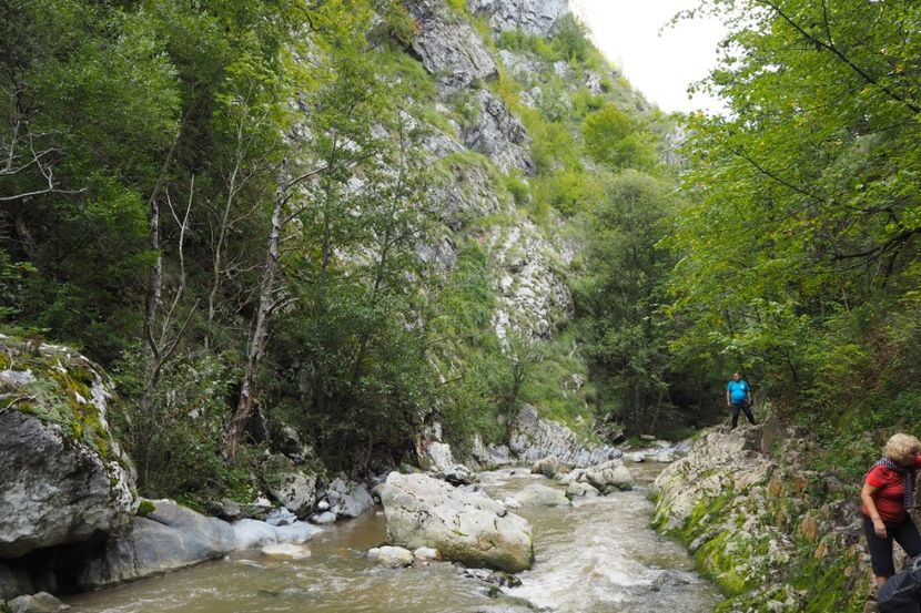 P9070063 - 2018_09_07