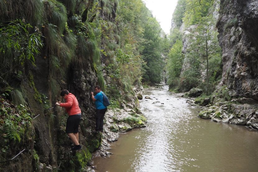 P9070084 - 2018_09_07