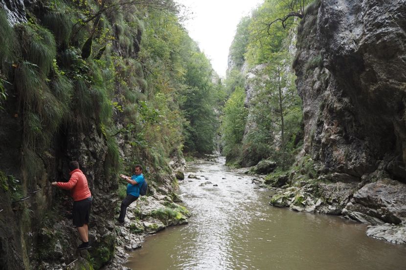 P9070086 - 2018_09_07