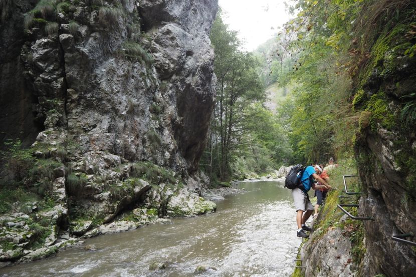 P9070098 - 2018_09_07