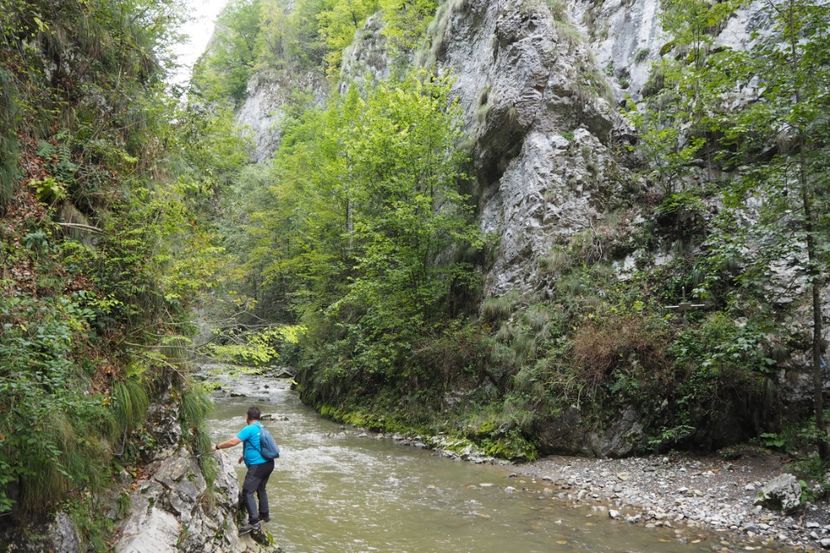 P9070099 - 2018_09_07