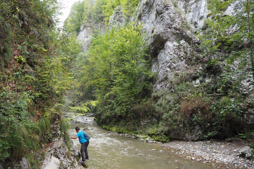 P9070100 - 2018_09_07