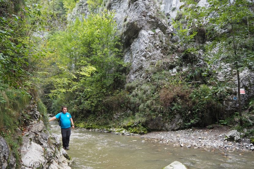 P9070102 - 2018_09_07