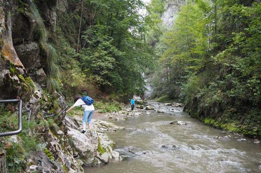 P9070108 - 2018_09_07