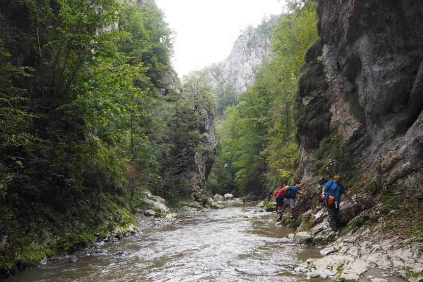 P9070110 - 2018_09_07