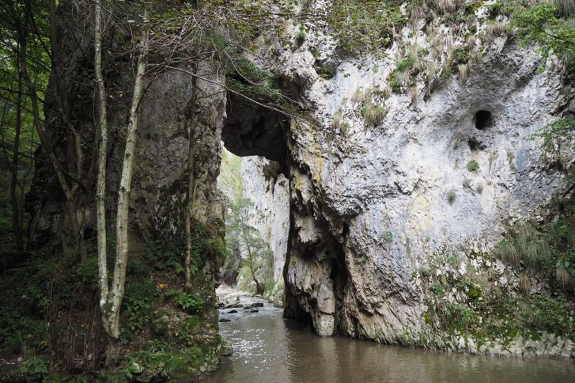 P9070115 - 2018_09_07