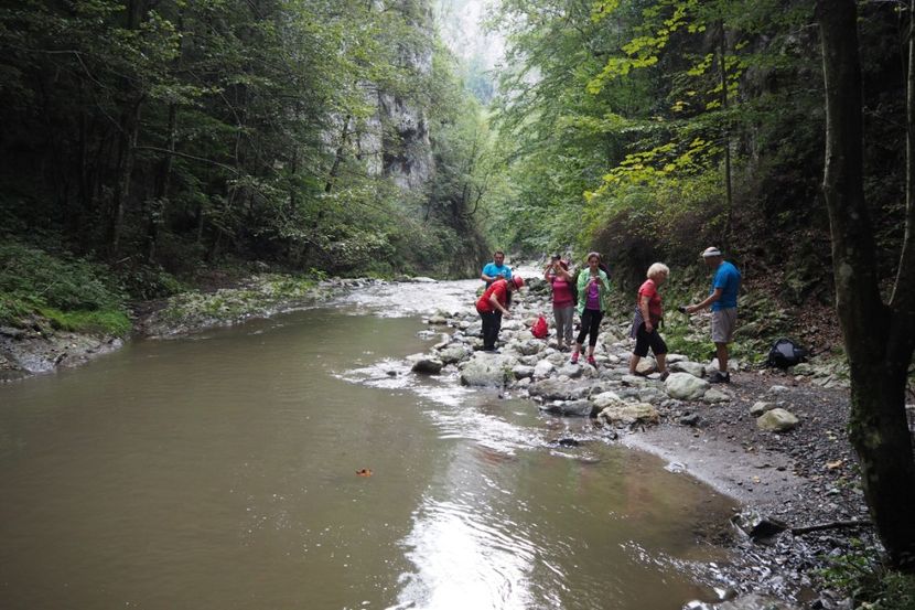 P9070116 - 2018_09_07