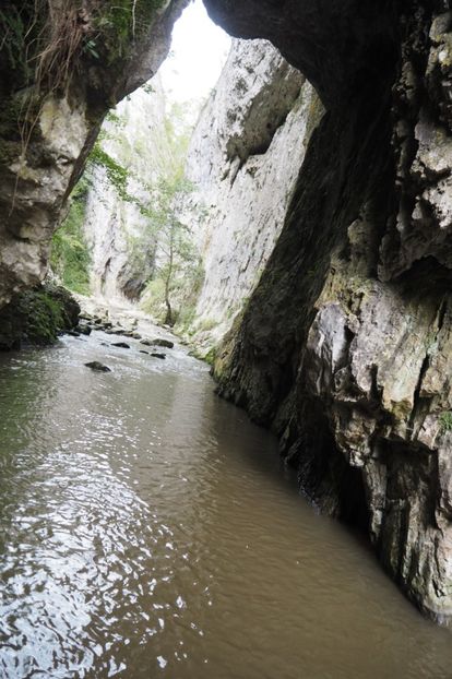 P9070117 - 2018_09_07