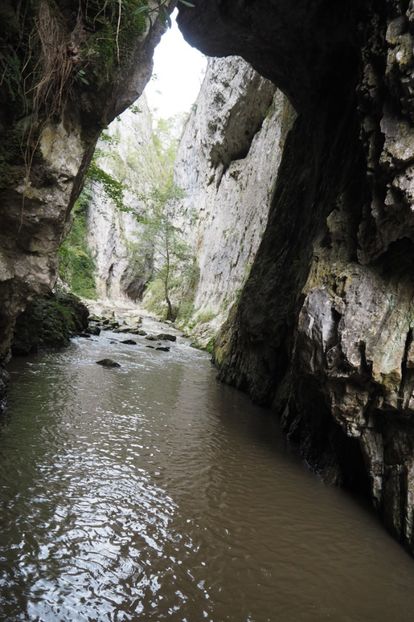 P9070118 - 2018_09_07