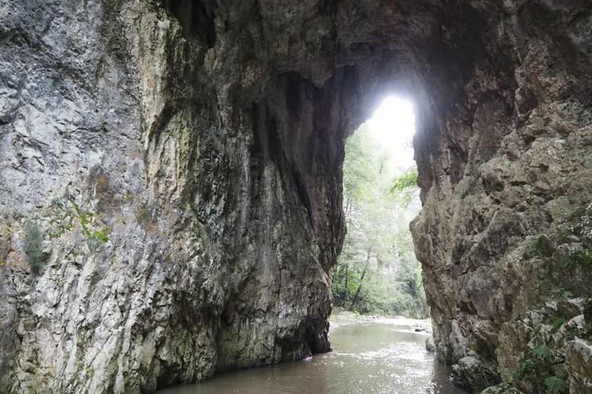 P9070121 - 2018_09_07