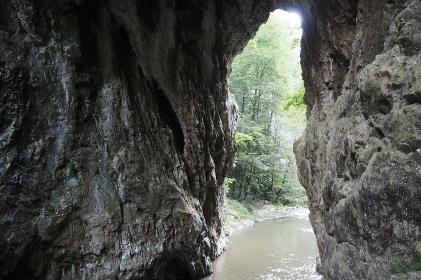 P9070122 - 2018_09_07