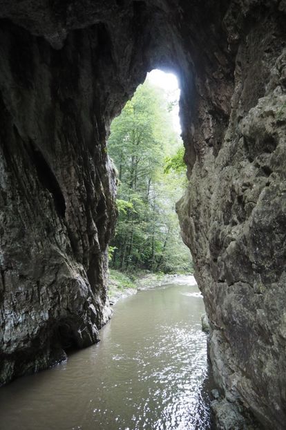 P9070123 - 2018_09_07