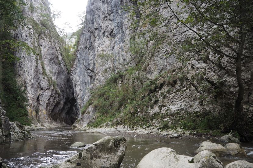 P9070124 - 2018_09_07