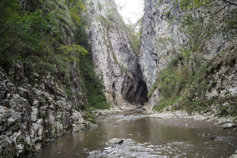 P9070125 - 2018_09_07