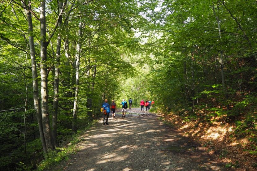 P9070138 - 2018_09_07