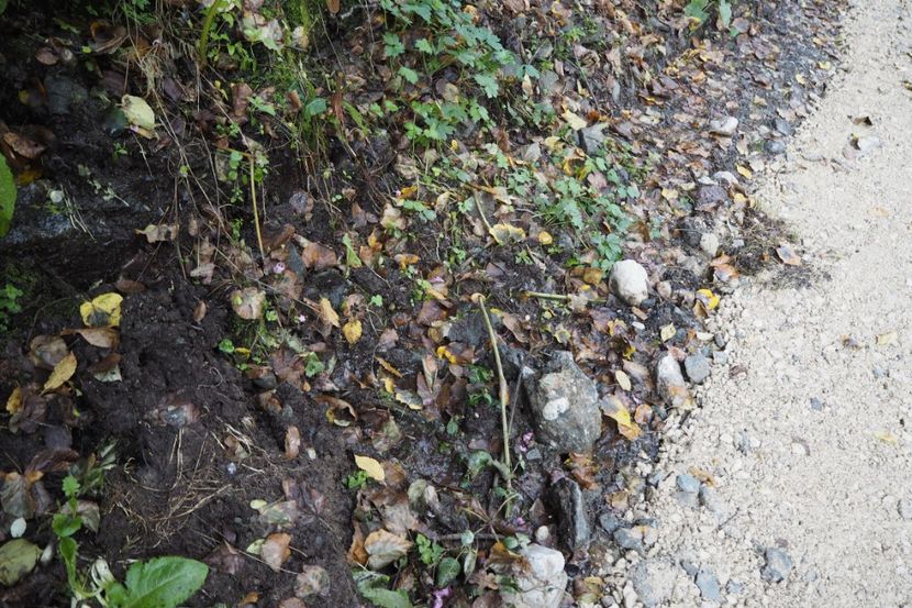 P9080207 - 2018_09_08