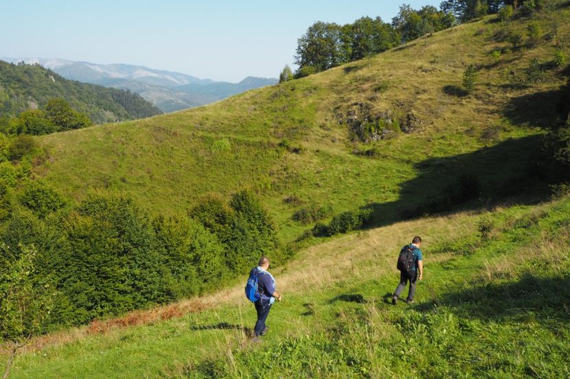 P9080253 - 2018_09_08