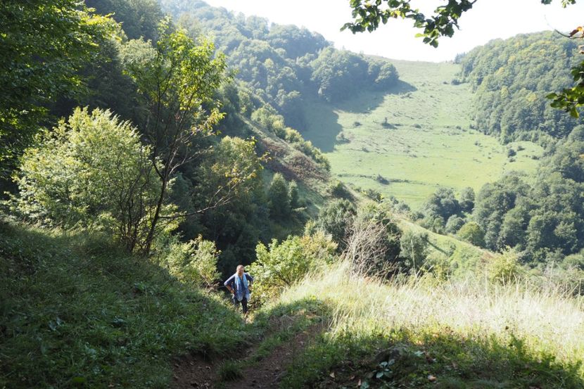 P9080263 - 2018_09_08