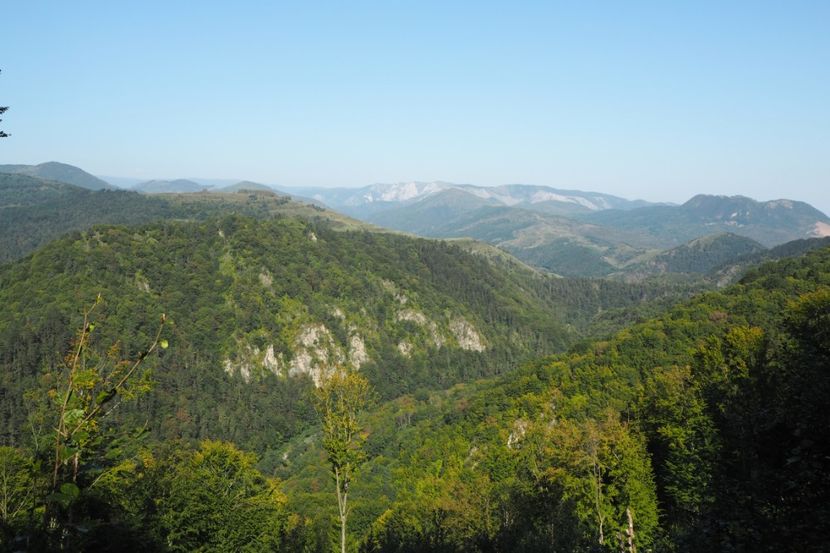 P9080265 - 2018_09_08