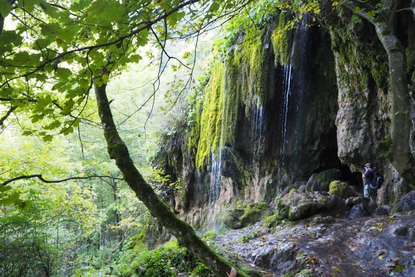 P9080268 - 2018_09_08