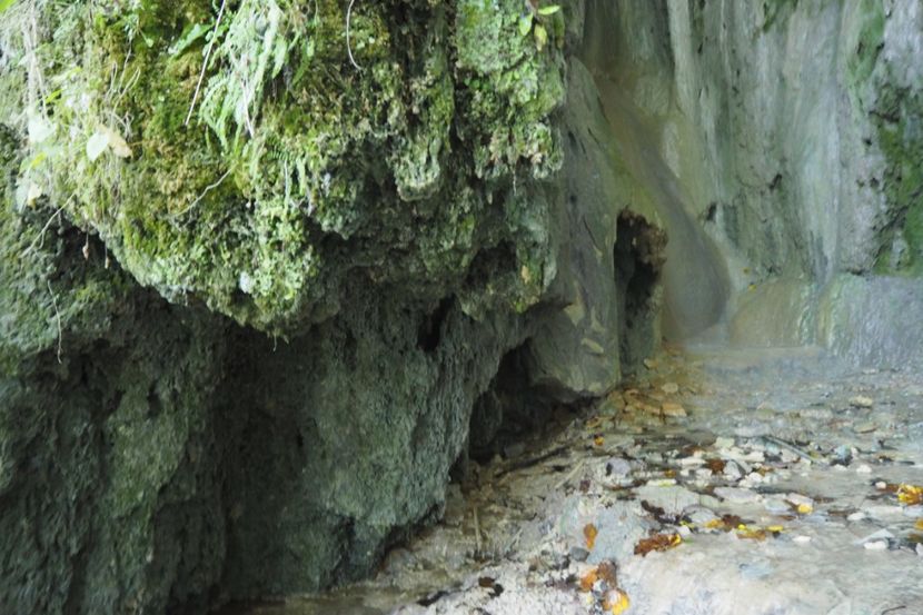 P9080274 - 2018_09_08