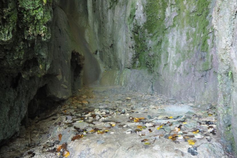 P9080275 - 2018_09_08