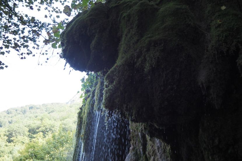 P9080280 - 2018_09_08