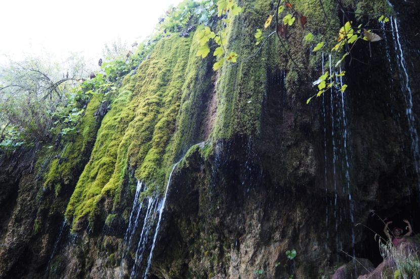 P9080281 - 2018_09_08