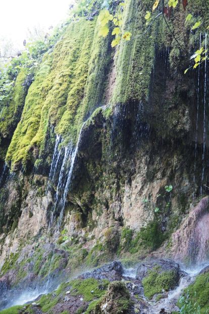 P9080282 - 2018_09_08