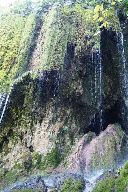 P9080283 - 2018_09_08