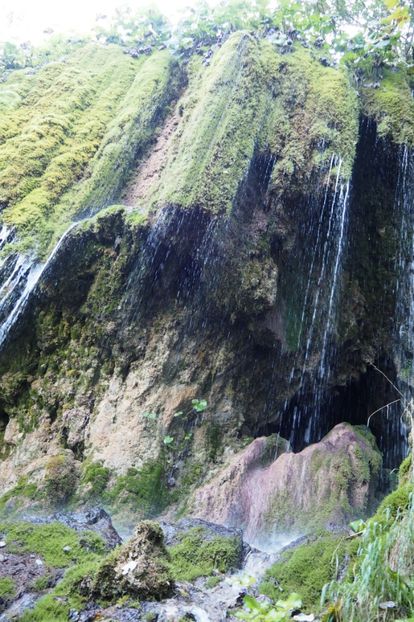 P9080287 - 2018_09_08