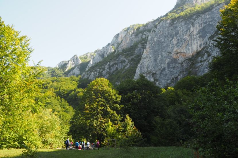 P9080290 - 2018_09_08