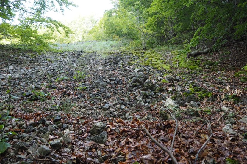 P9080292 - 2018_09_08