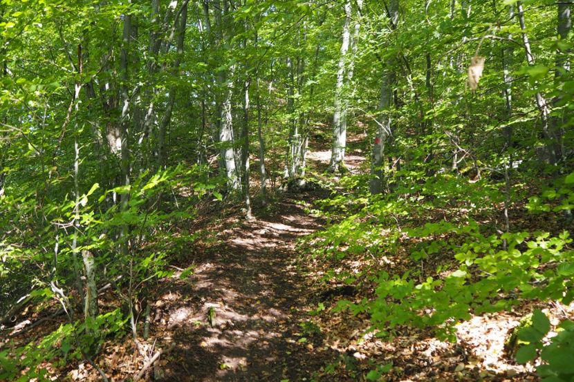 P9080294 - 2018_09_08