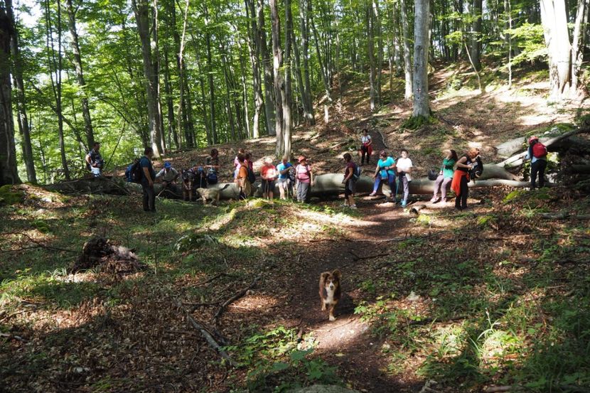 P9080300 - 2018_09_08