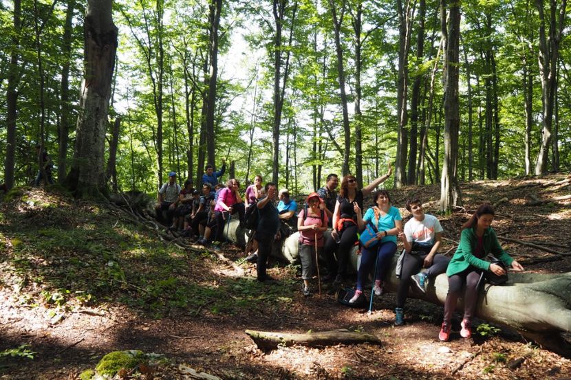 P9080302 - 2018_09_08