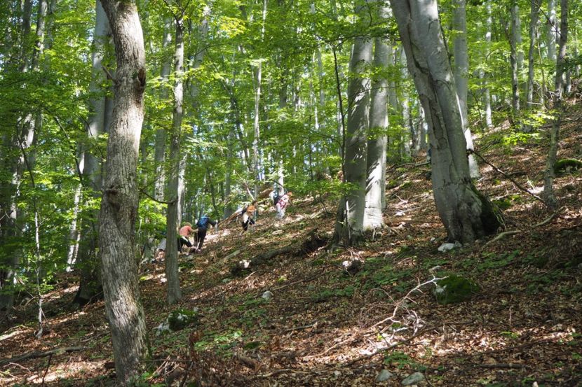 P9080309 - 2018_09_08