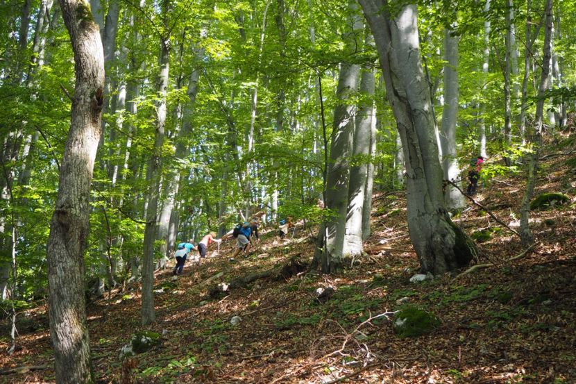 P9080310 - 2018_09_08