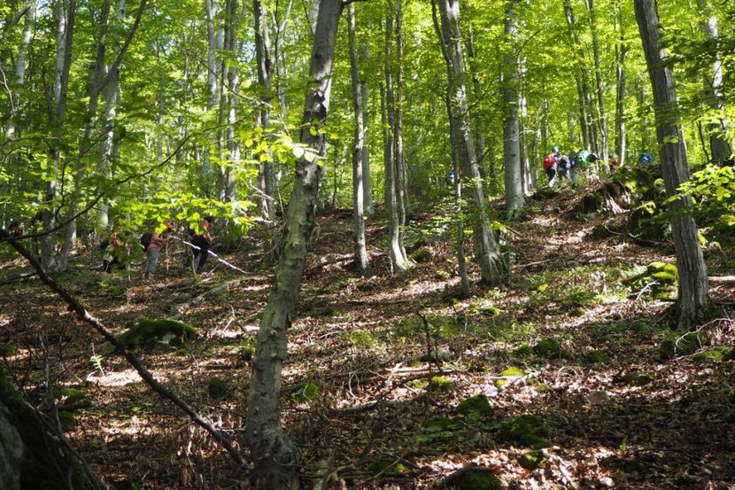 P9080311 - 2018_09_08