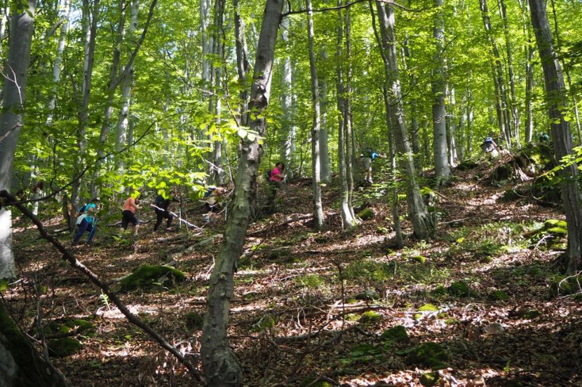 P9080312 - 2018_09_08