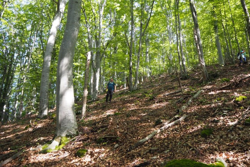 P9080315 - 2018_09_08