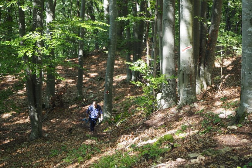 P9080317 - 2018_09_08