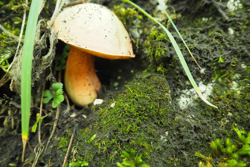 P9080318 - 2018_09_08